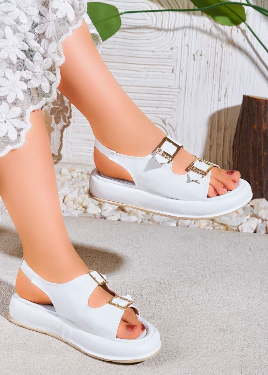 photo 2026 04 22 12 24 20